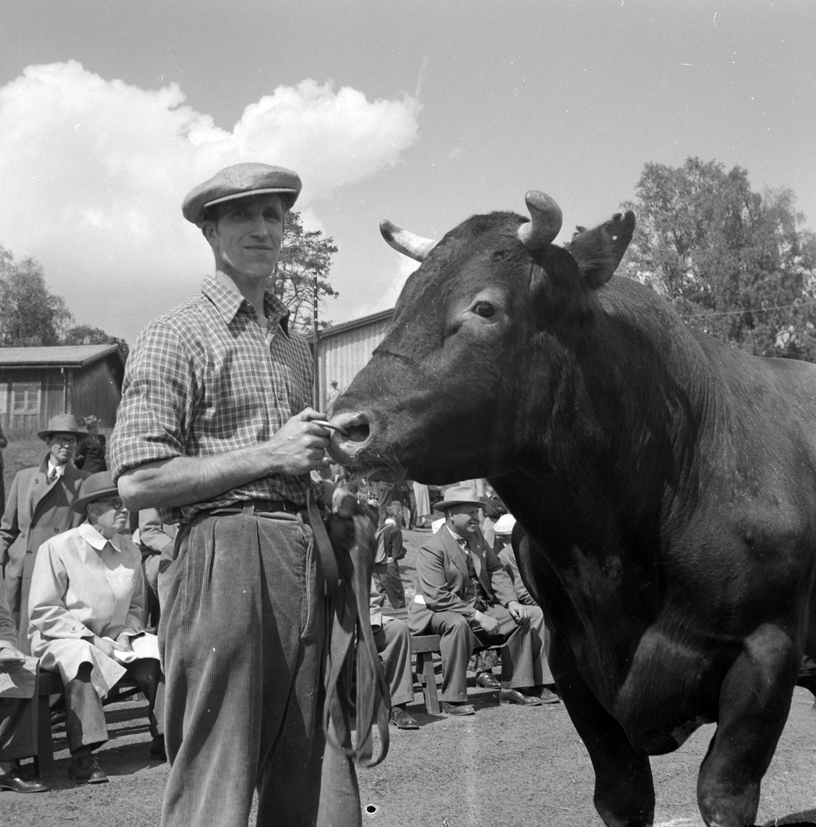 Adolf Skjegstad, ASK-02829
