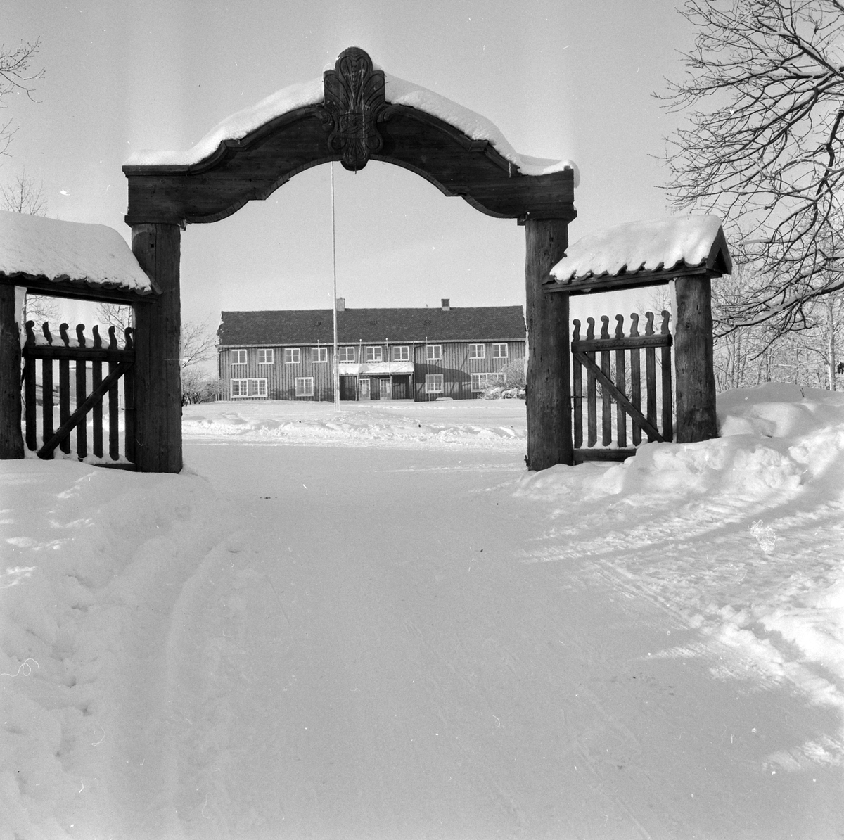 Adolf Skjegstad, ASK-02950