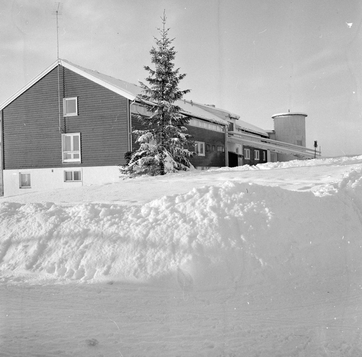 Adolf Skjegstad, ASK-02957