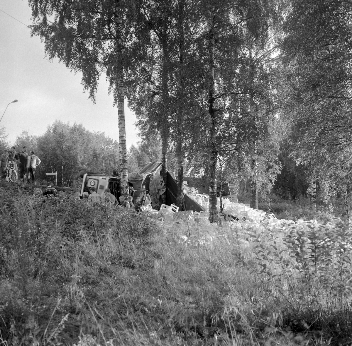 Adolf Skjegstad, ASK-02987