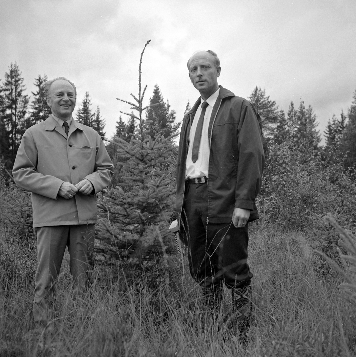 Adolf Skjegstad, ASK-02998