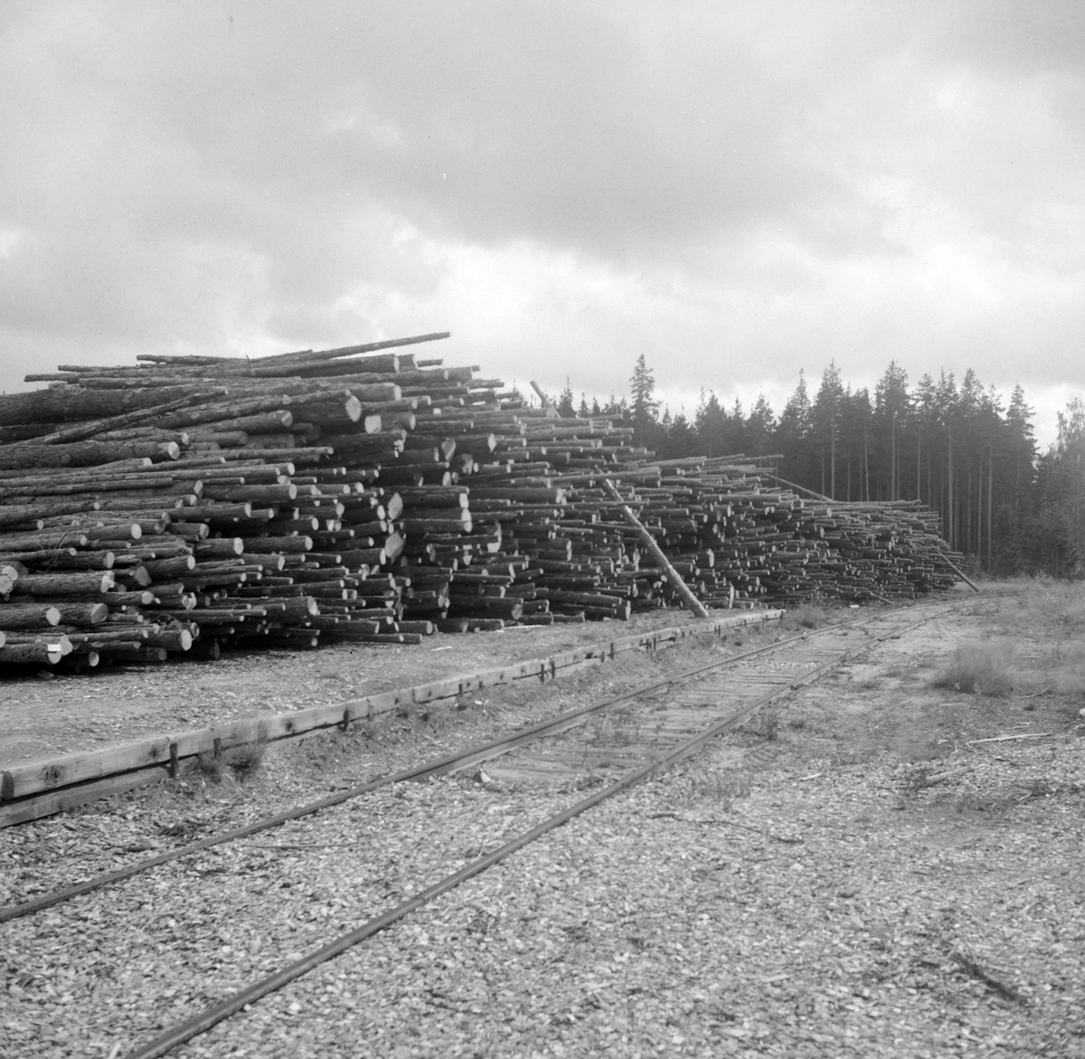 Adolf Skjegstad, ASK-03007