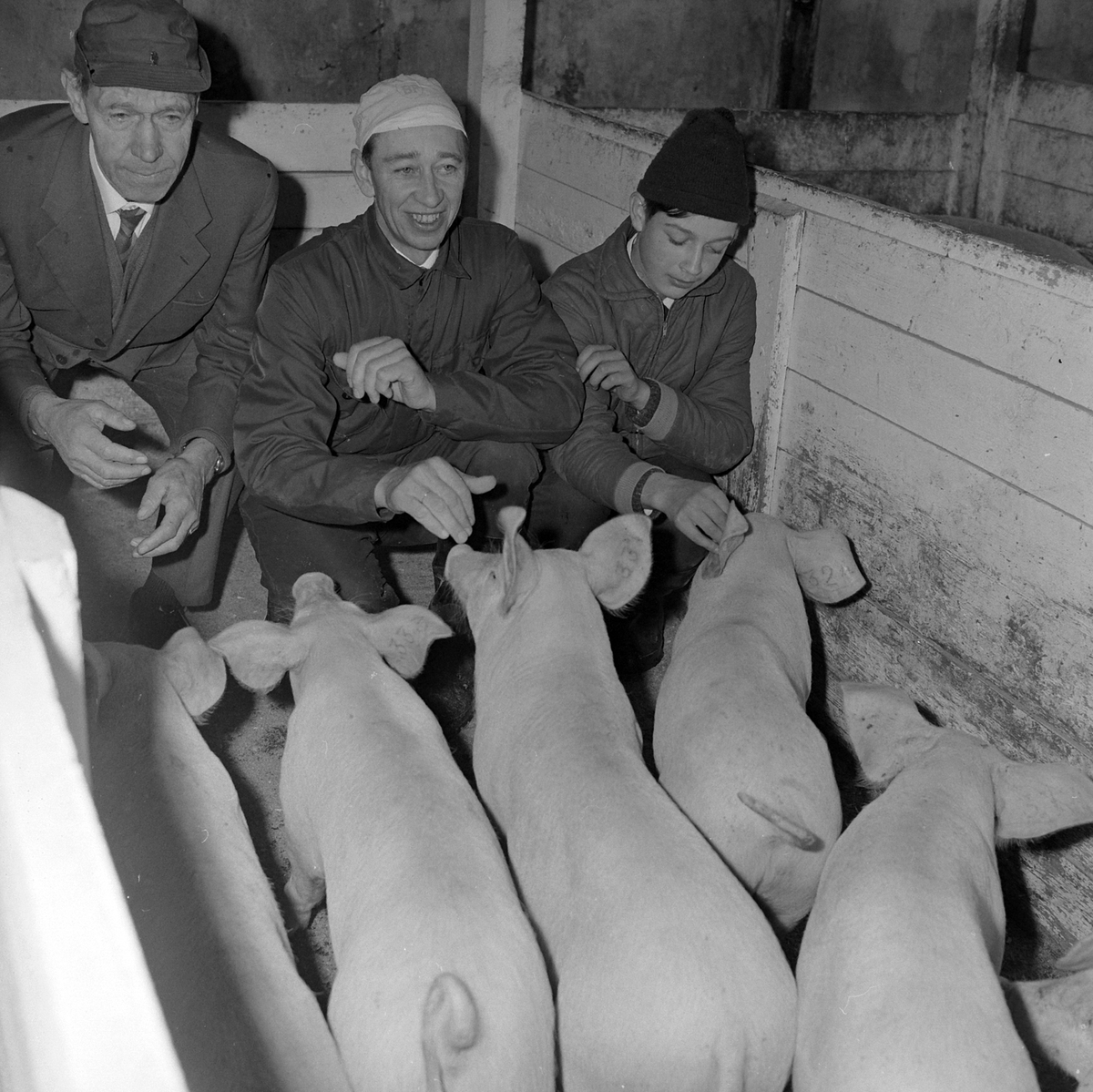 Adolf Skjegstad, ASK-03043