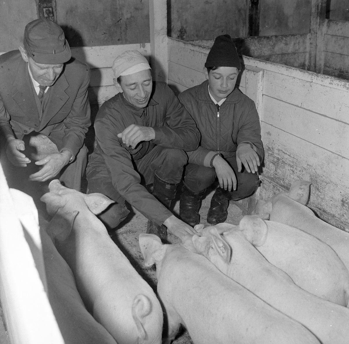 Adolf Skjegstad, ASK-03044