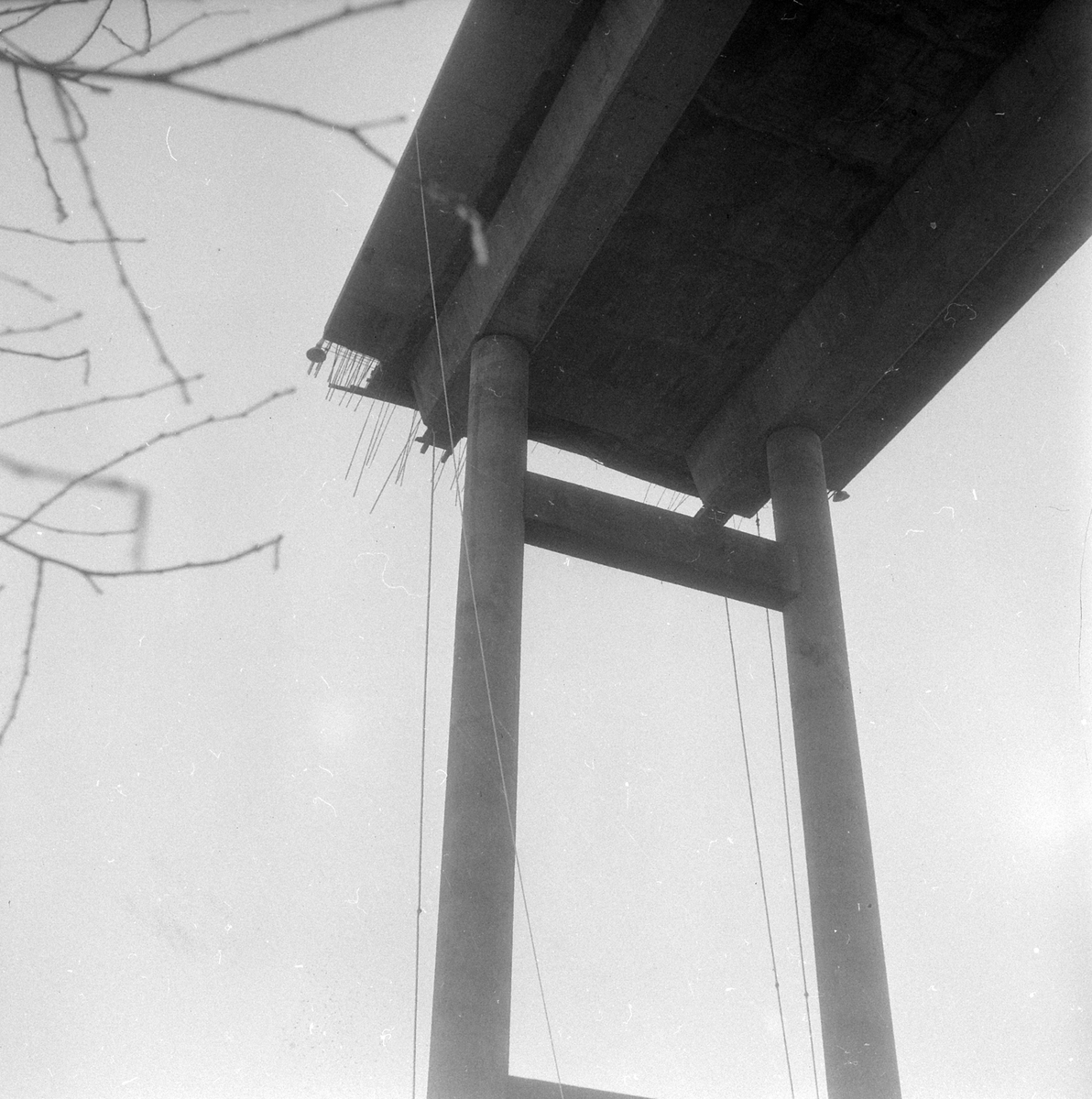 Adolf Skjegstad, ASK-03080