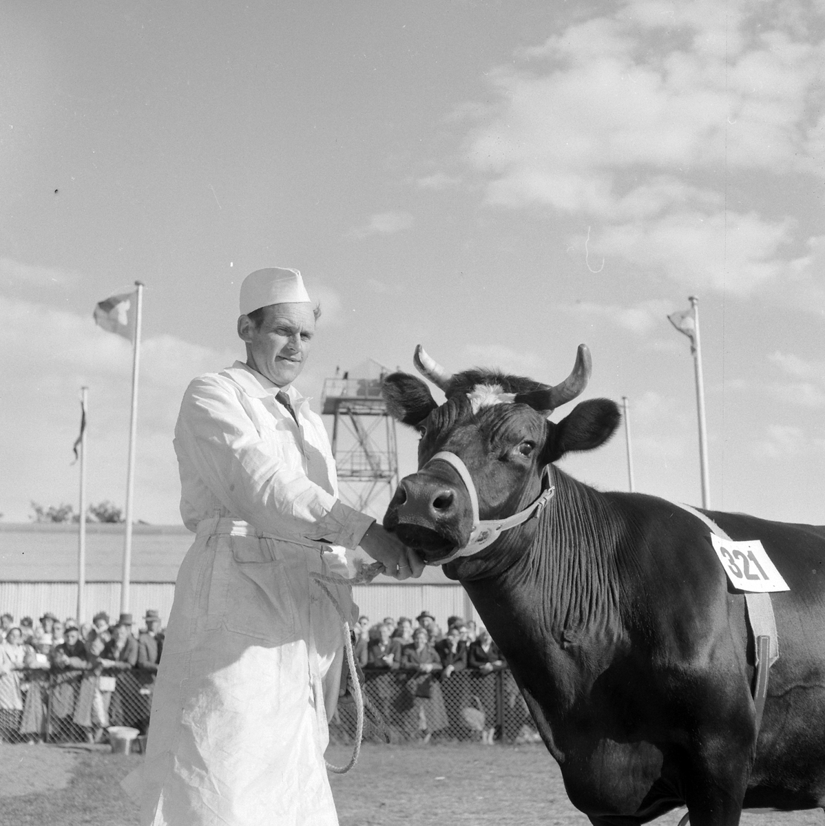 Adolf Skjegstad, ASK-03146