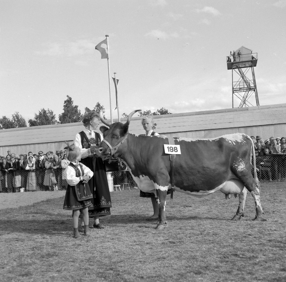 Adolf Skjegstad, ASK-03148