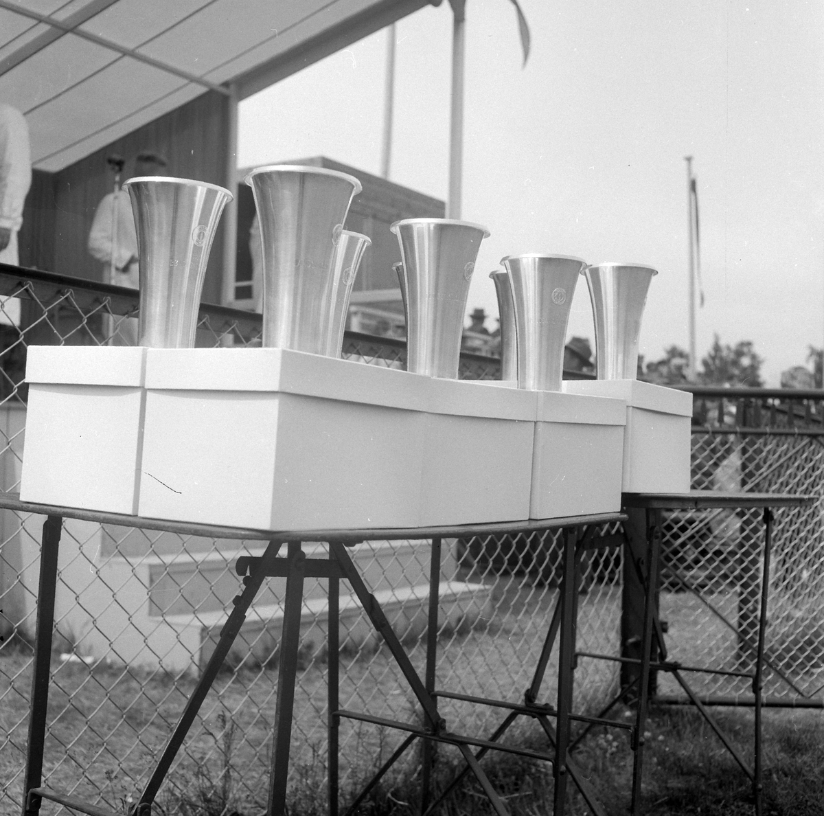 Adolf Skjegstad, ASK-03165