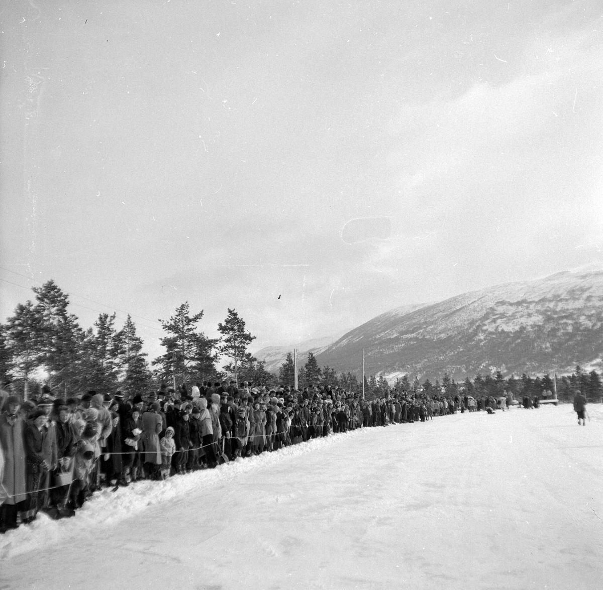 Adolf Skjegstad, ASK-03249