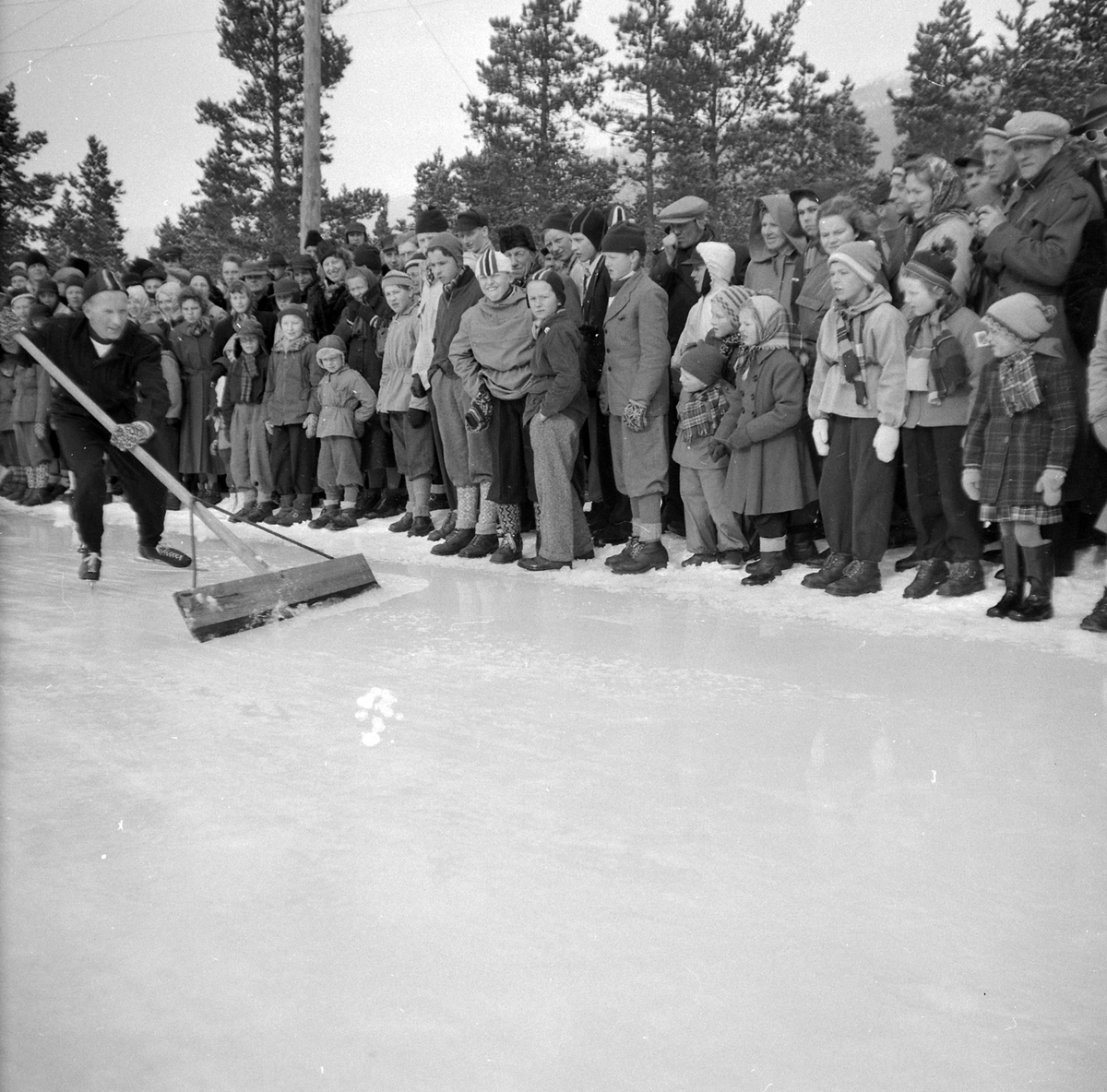 Adolf Skjegstad, ASK-03252