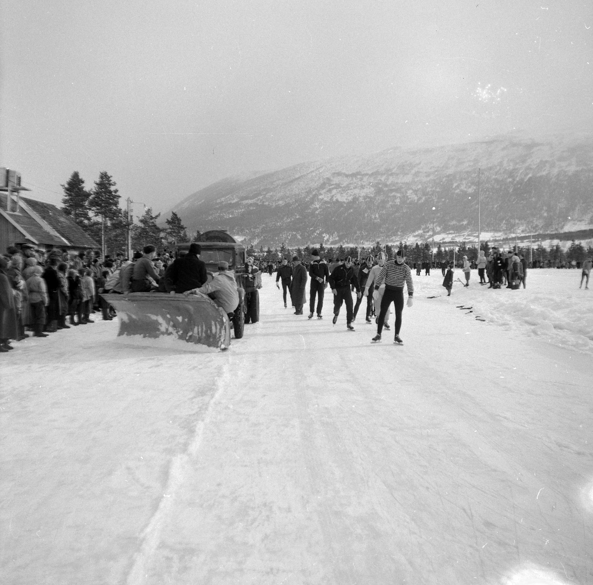 Adolf Skjegstad, ASK-03254