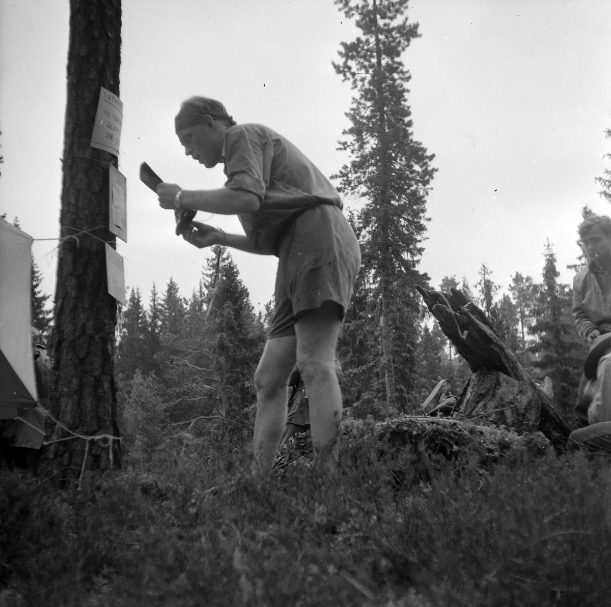 Adolf Skjegstad, ASK-03313