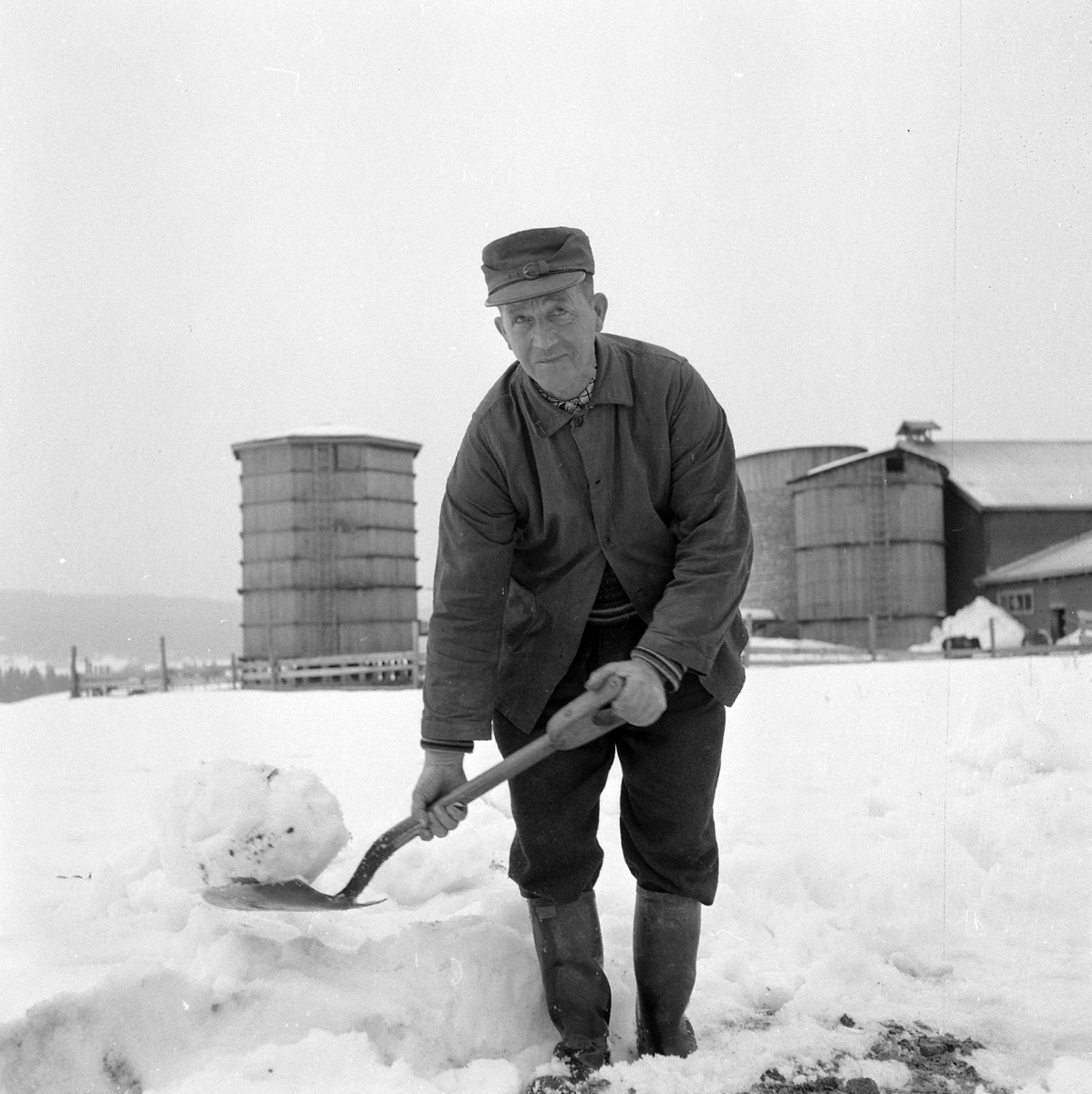 Adolf Skjegstad, ASK-03406