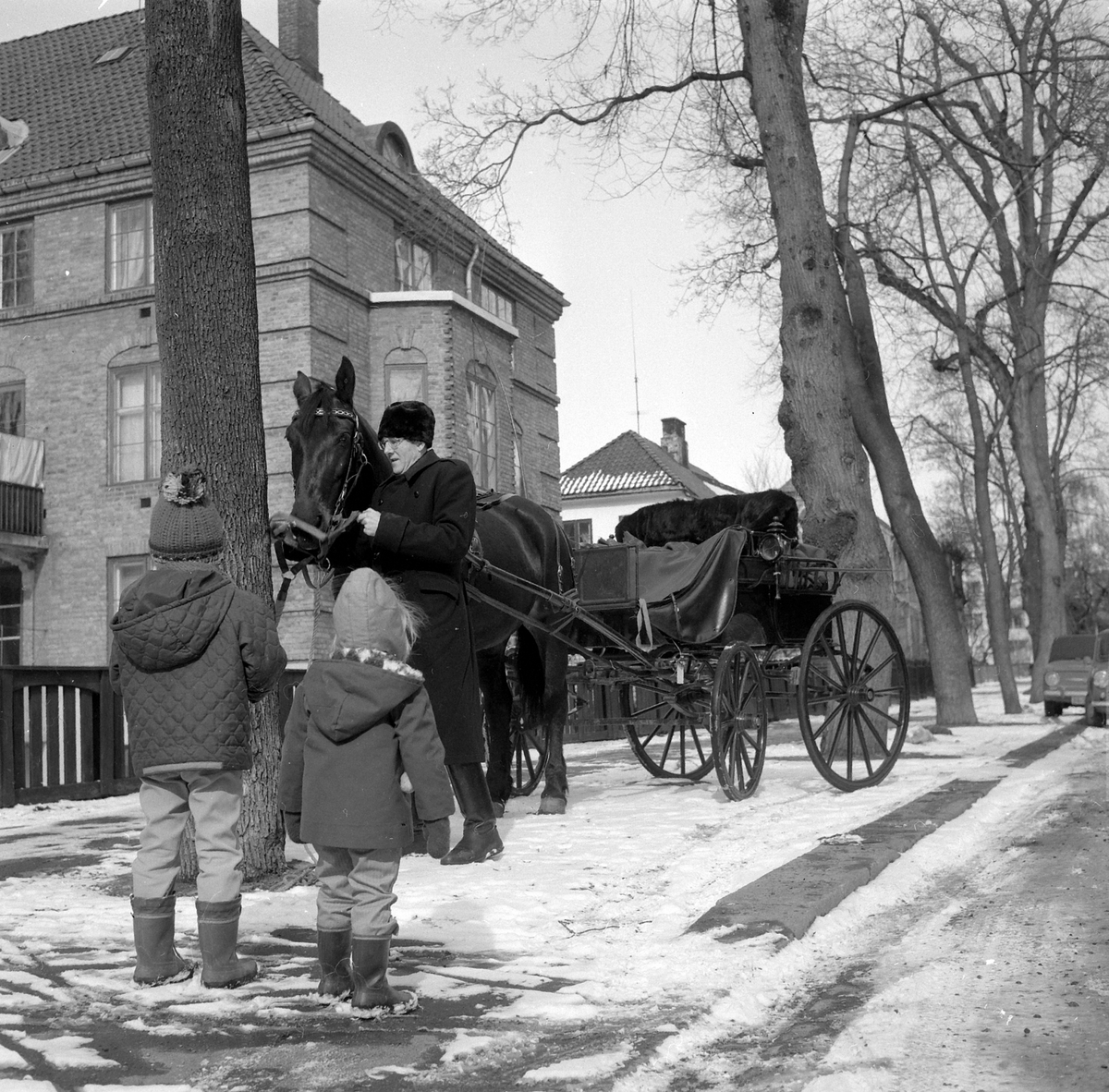 Adolf Skjegstad, ASK-03491
