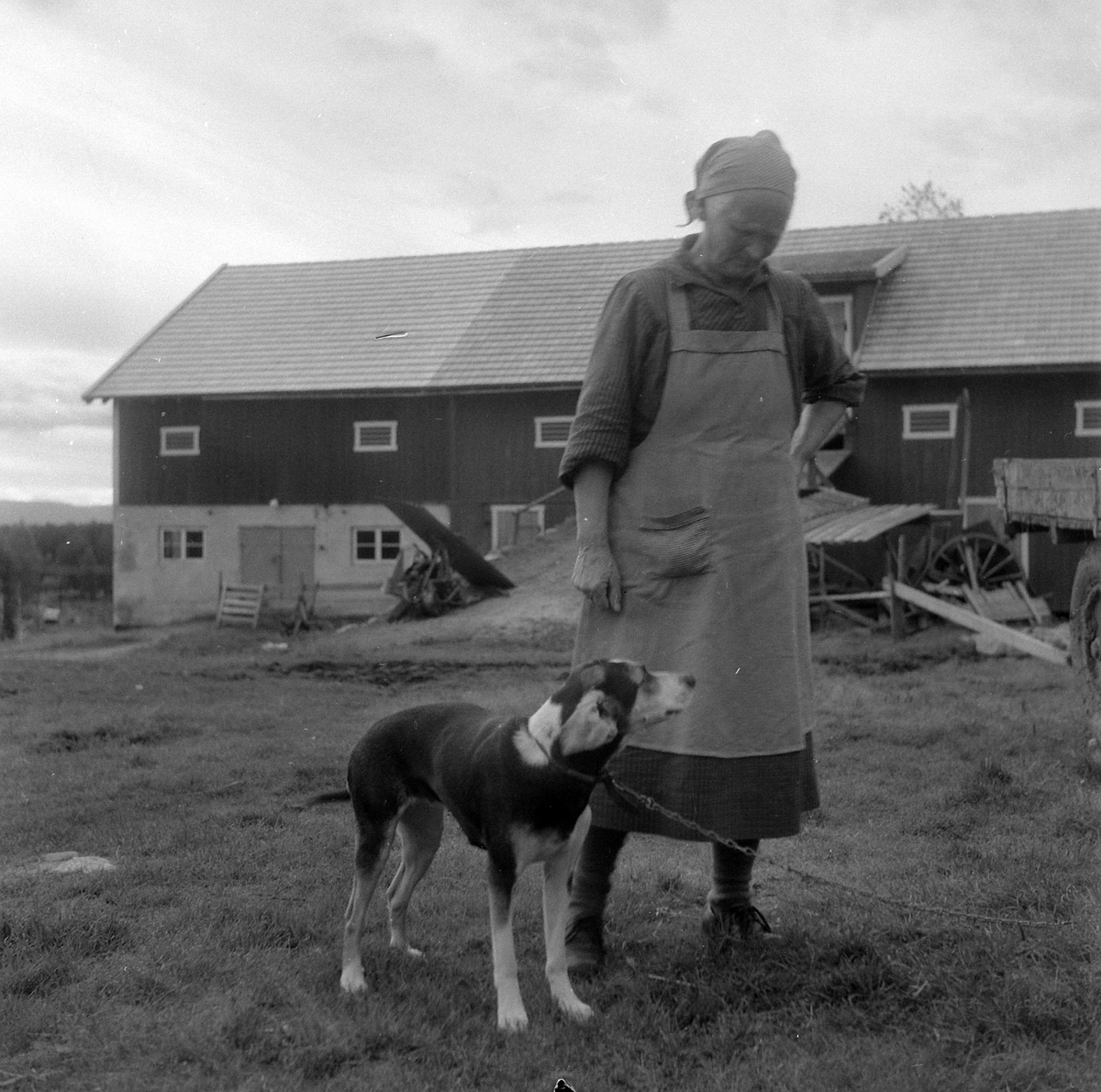 Adolf Skjegstad, ASK-03538