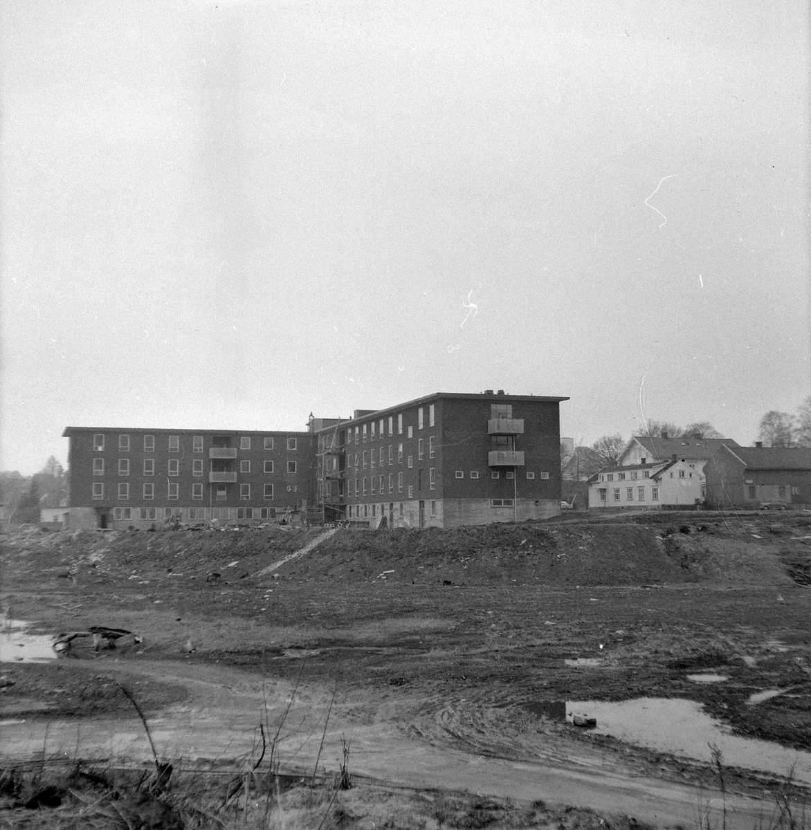 Adolf Skjegstad, ASK-03579