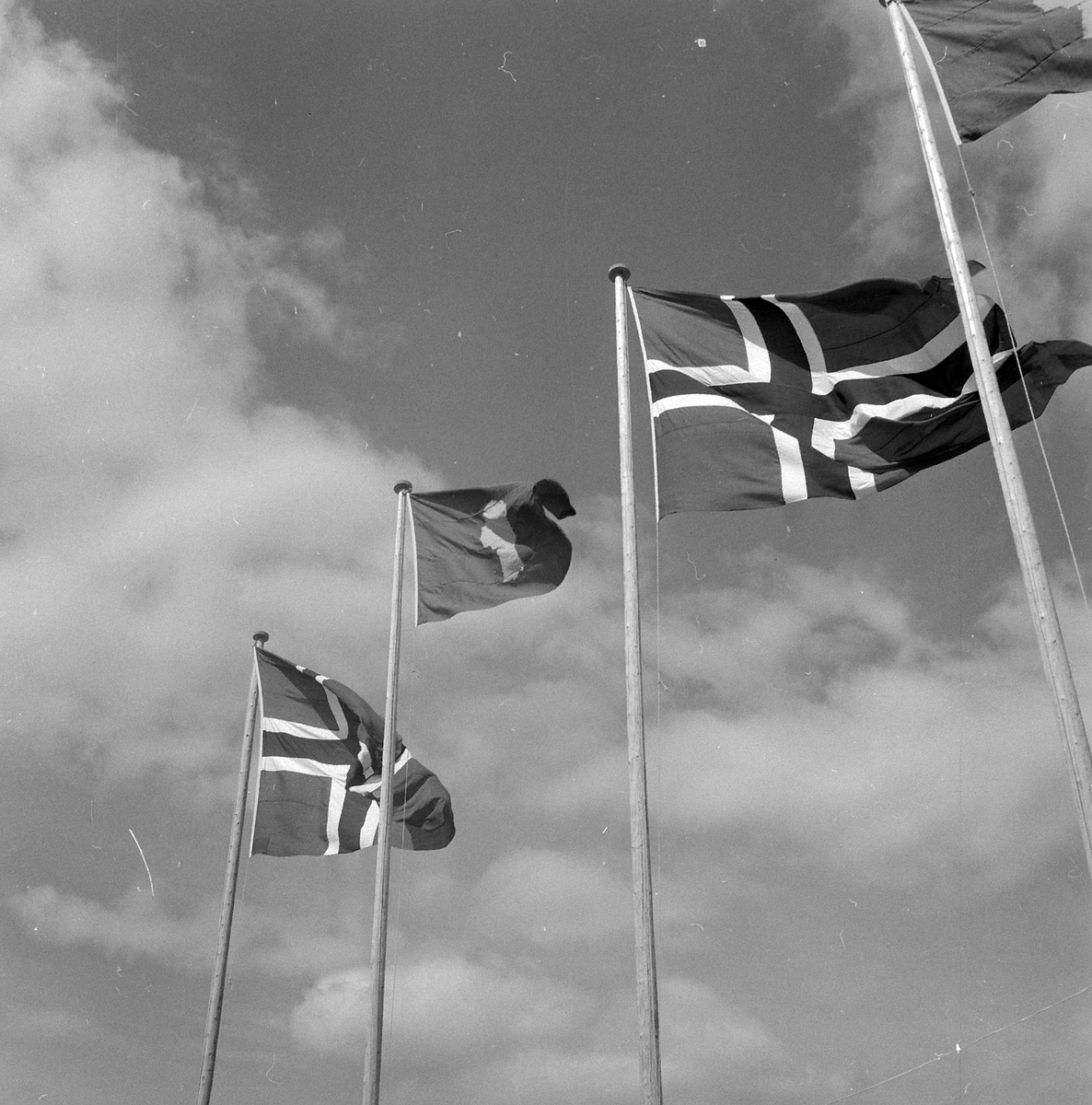 Adolf Skjegstad, ASK-03592