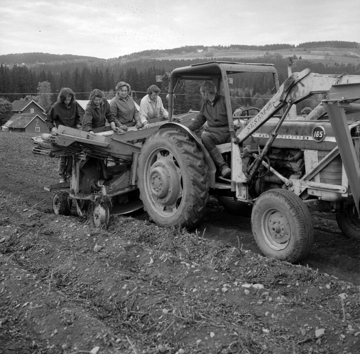 Adolf Skjegstad, ASK-03663