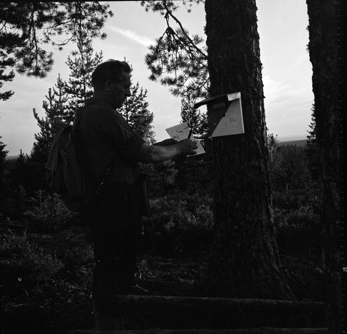 Adolf Skjegstad, ASK-03883