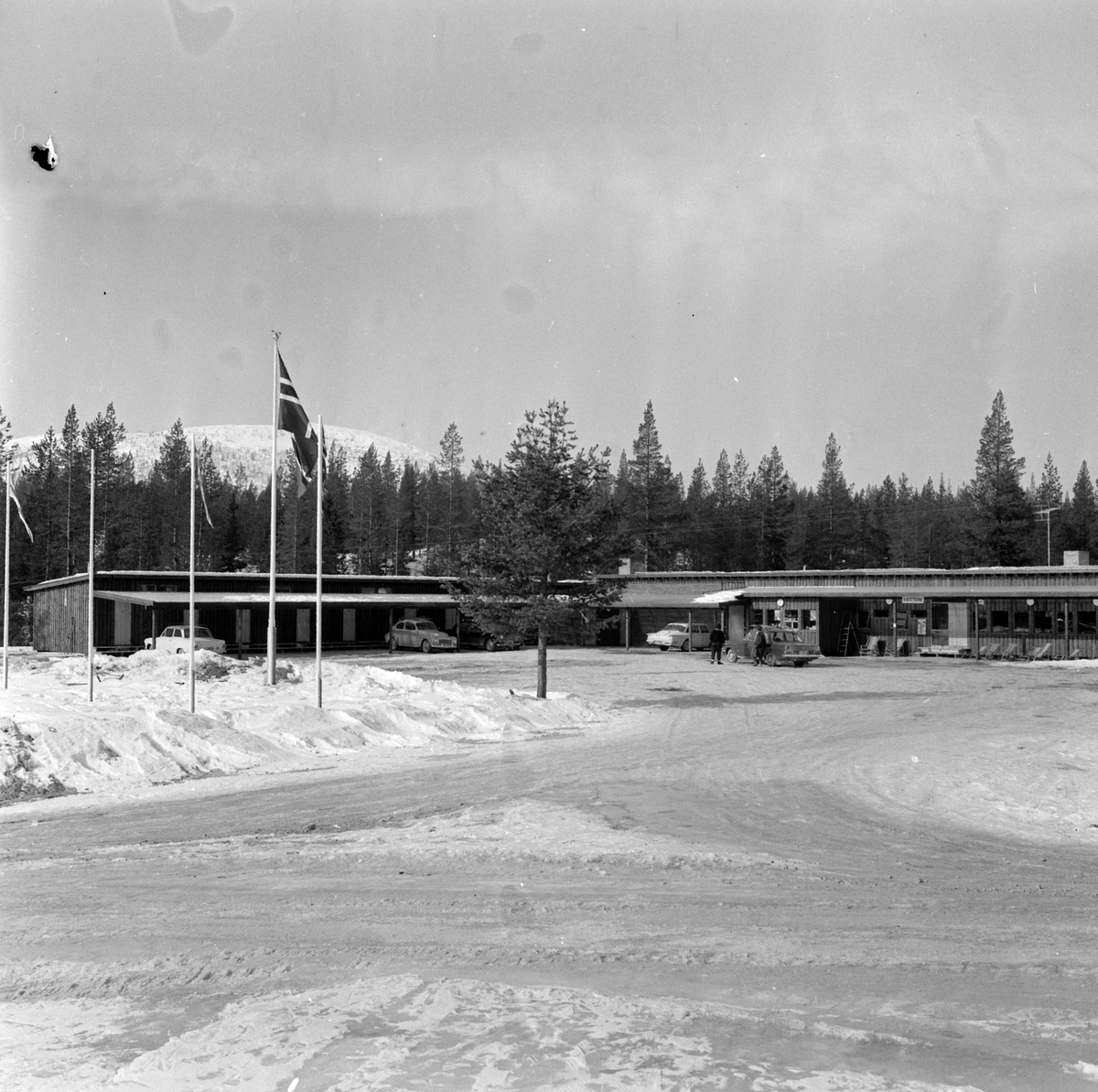 Adolf Skjegstad, ASK-03886