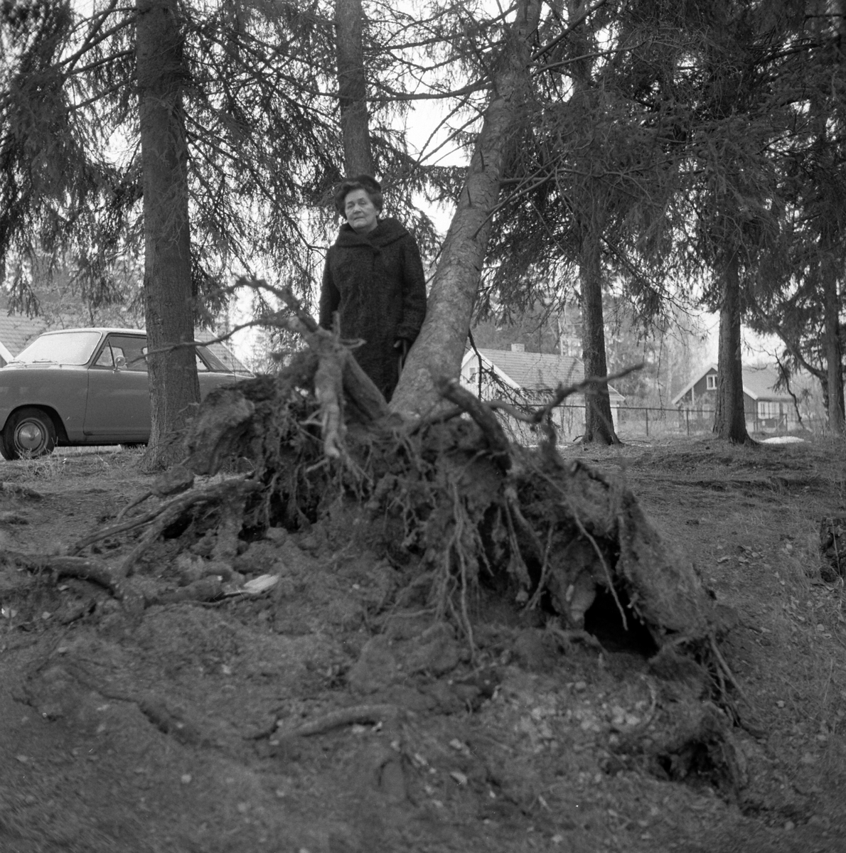 Adolf Skjegstad, ASK-04058