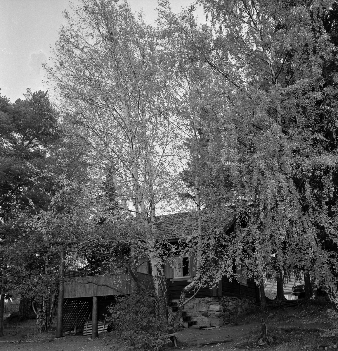 Adolf Skjegstad, ASK-04063