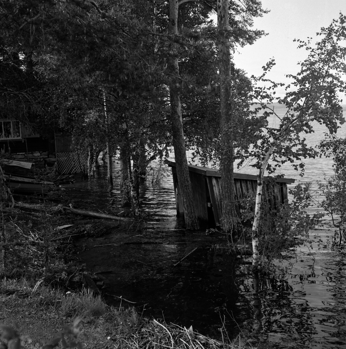 Adolf Skjegstad, ASK-04097