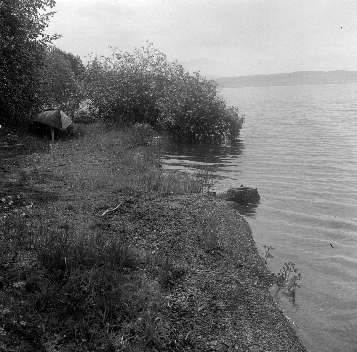 Adolf Skjegstad, ASK-04121