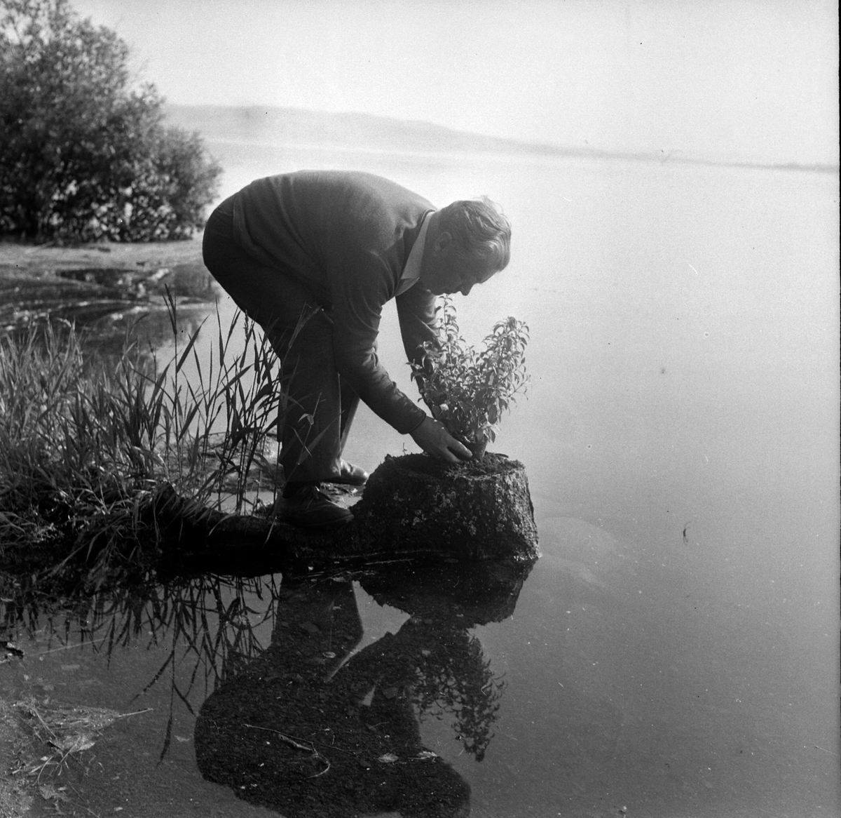 Adolf Skjegstad, Adolf Skjegstad.
