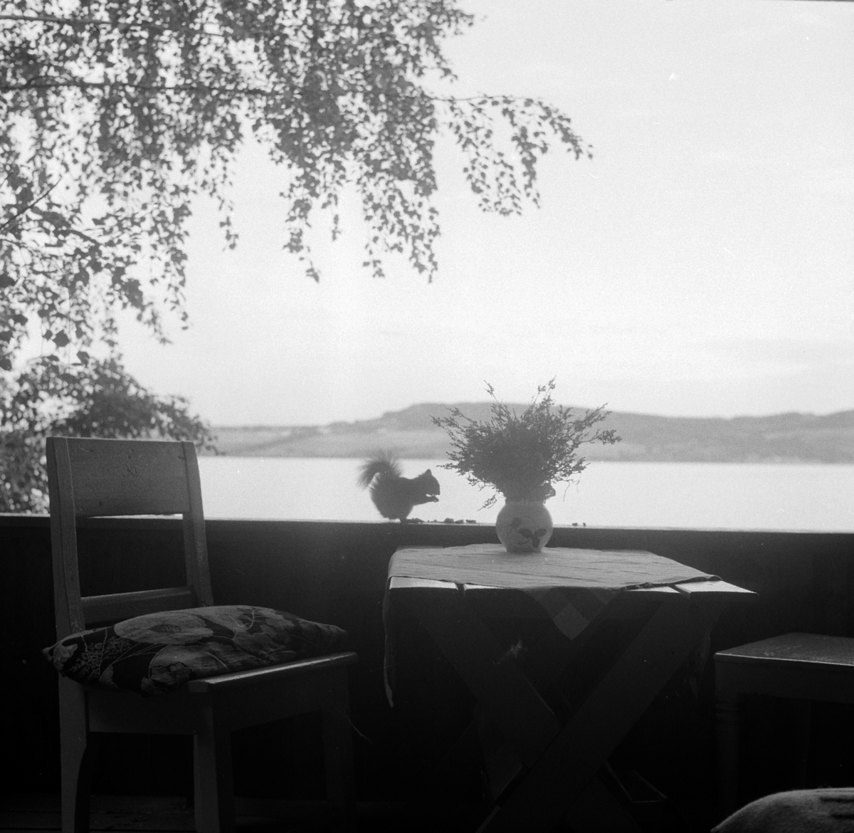 Adolf Skjegstad, ASK-04140