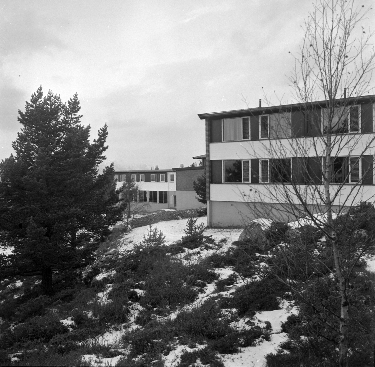 Adolf Skjegstad, ASK-04213