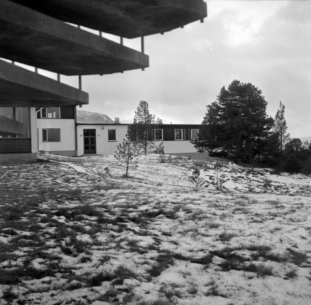 Adolf Skjegstad, ASK-04214