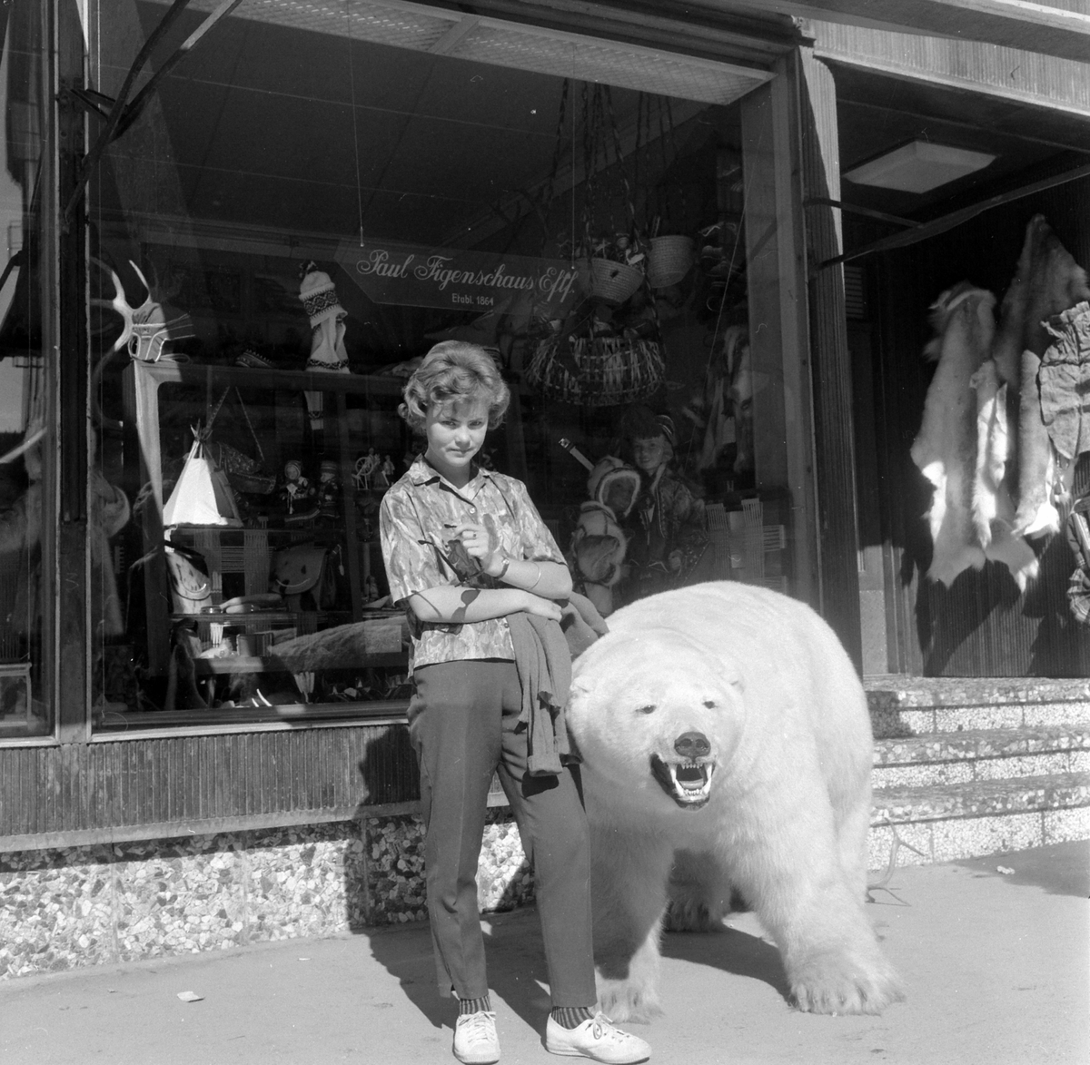 Adolf Skjegstad, Anbjørg Skjegstad.1961. Isbjørn, Tromsø.
