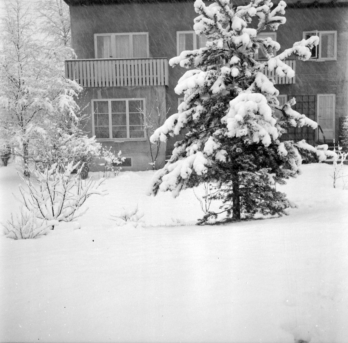 Adolf Skjegstad, ASK-04316