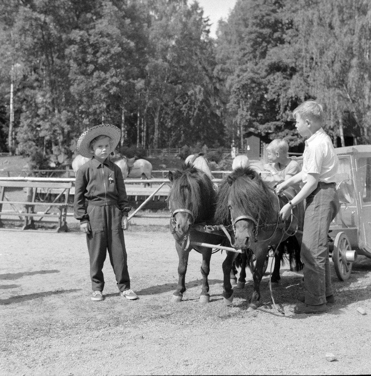 Adolf Skjegstad, ASK-04326
