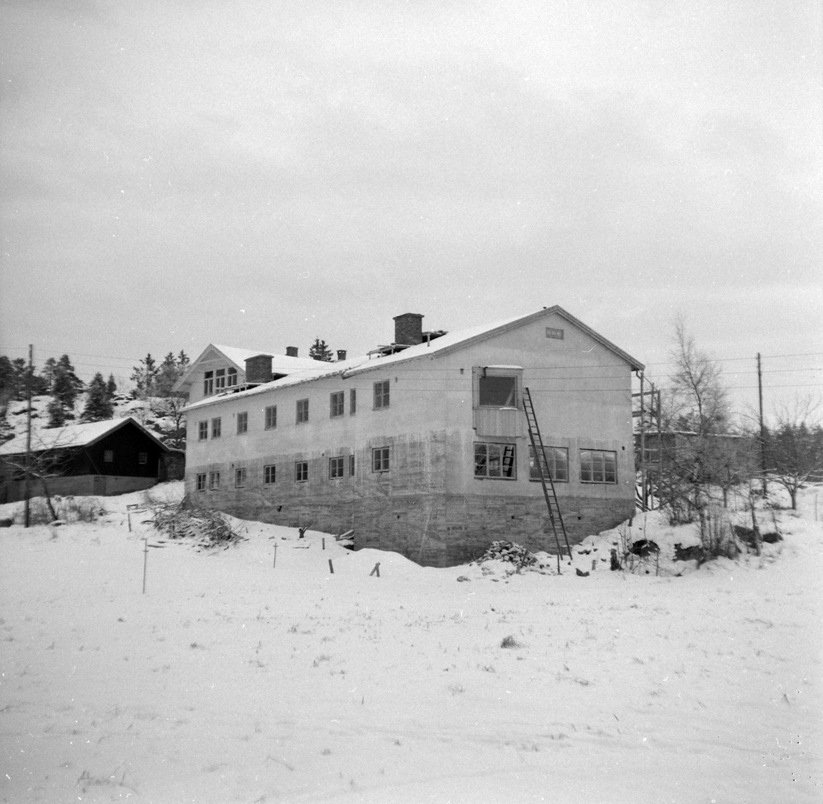 Adolf Skjegstad, ASK-04354