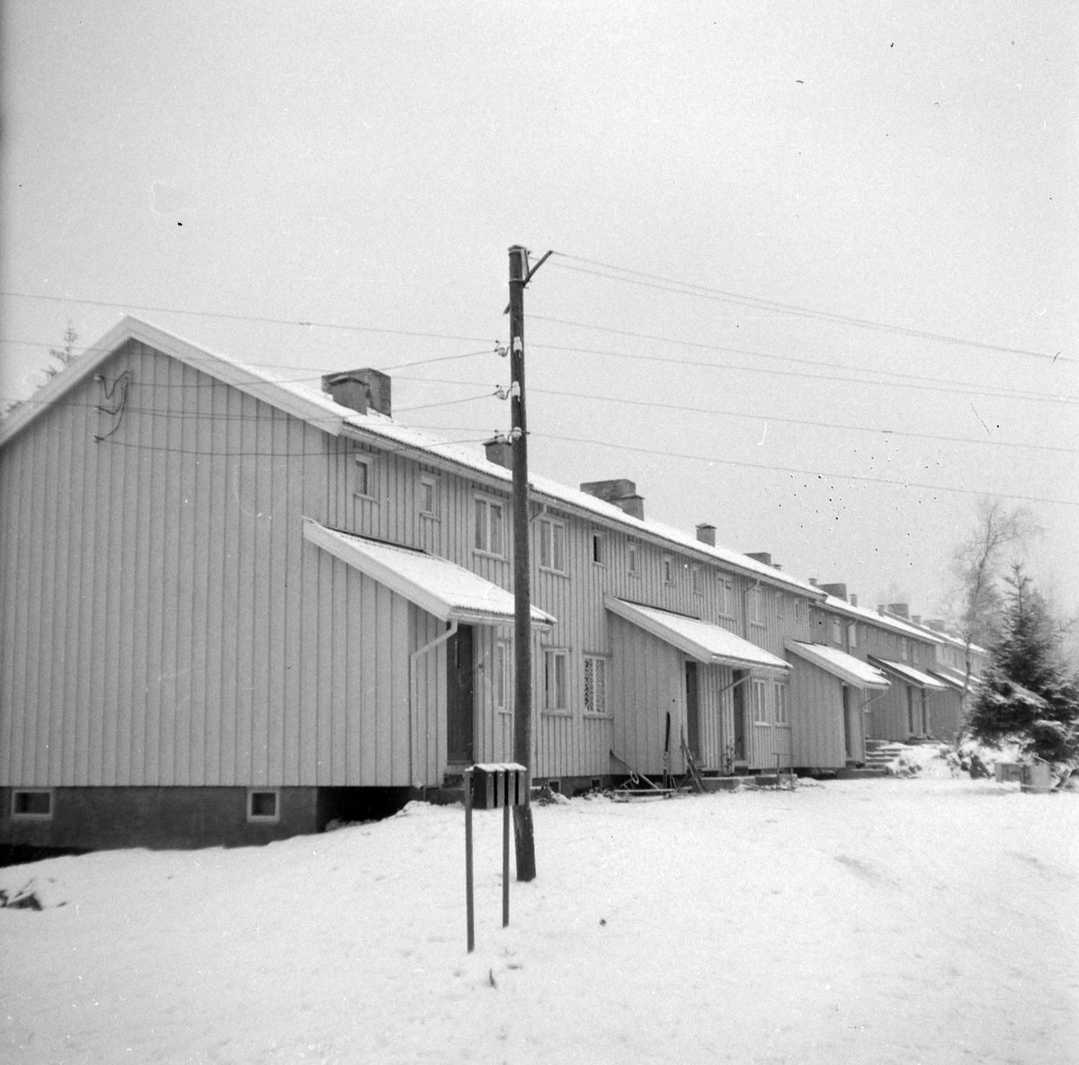 Adolf Skjegstad, ASK-04355