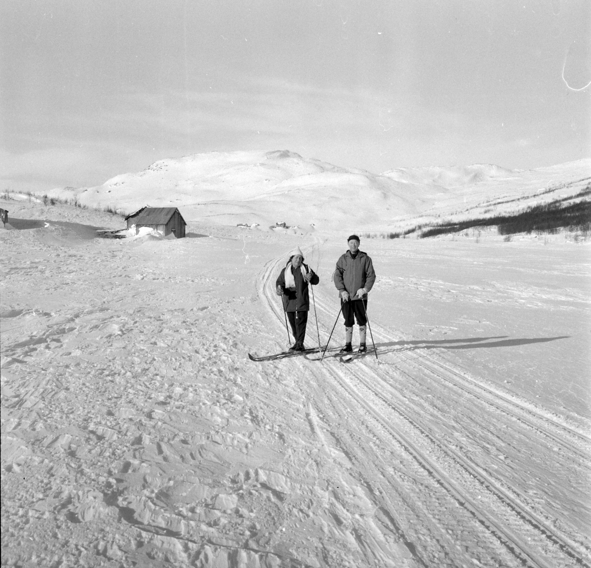 Adolf Skjegstad, ASK-04372