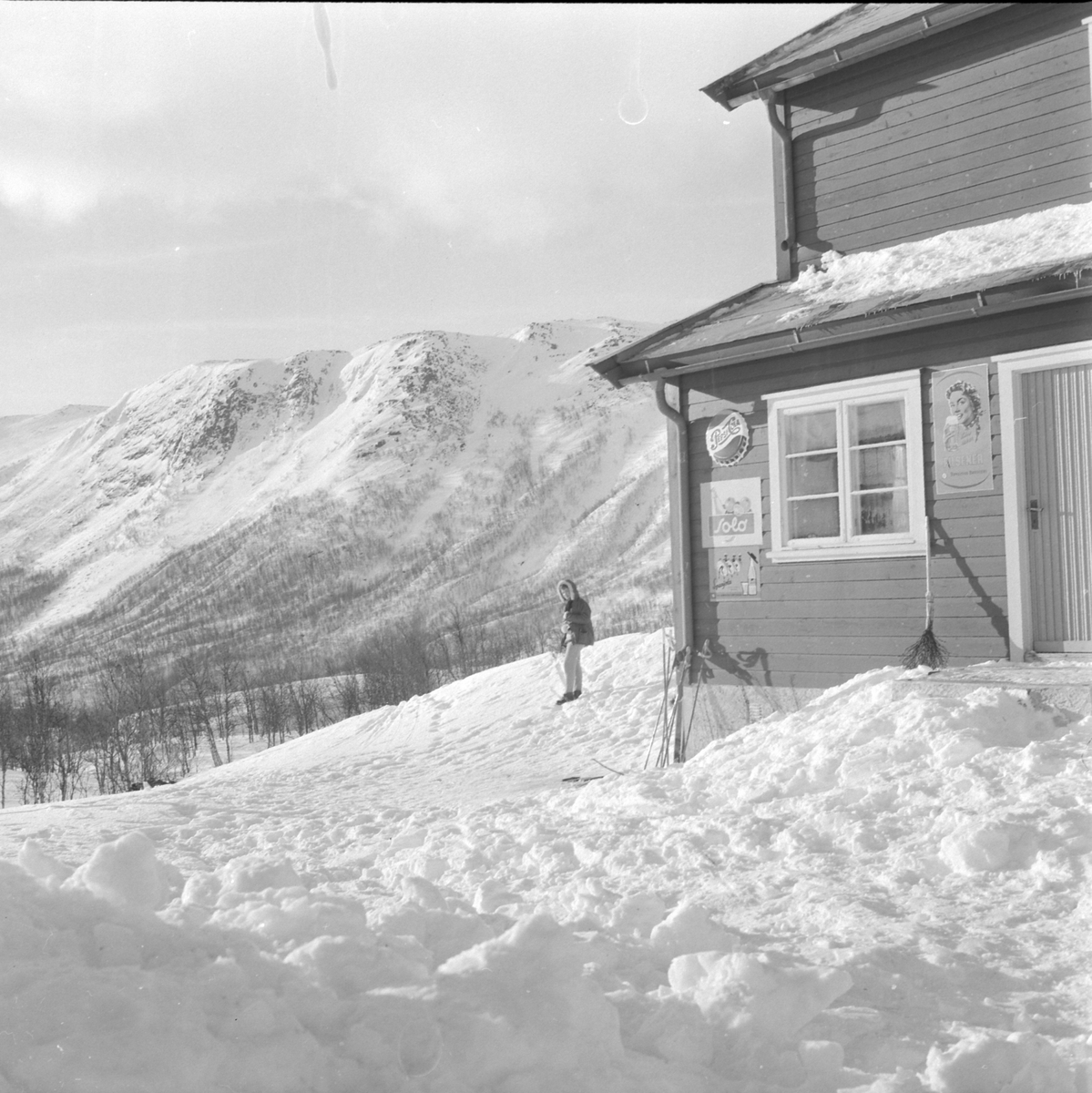 Adolf Skjegstad, ASK-04373