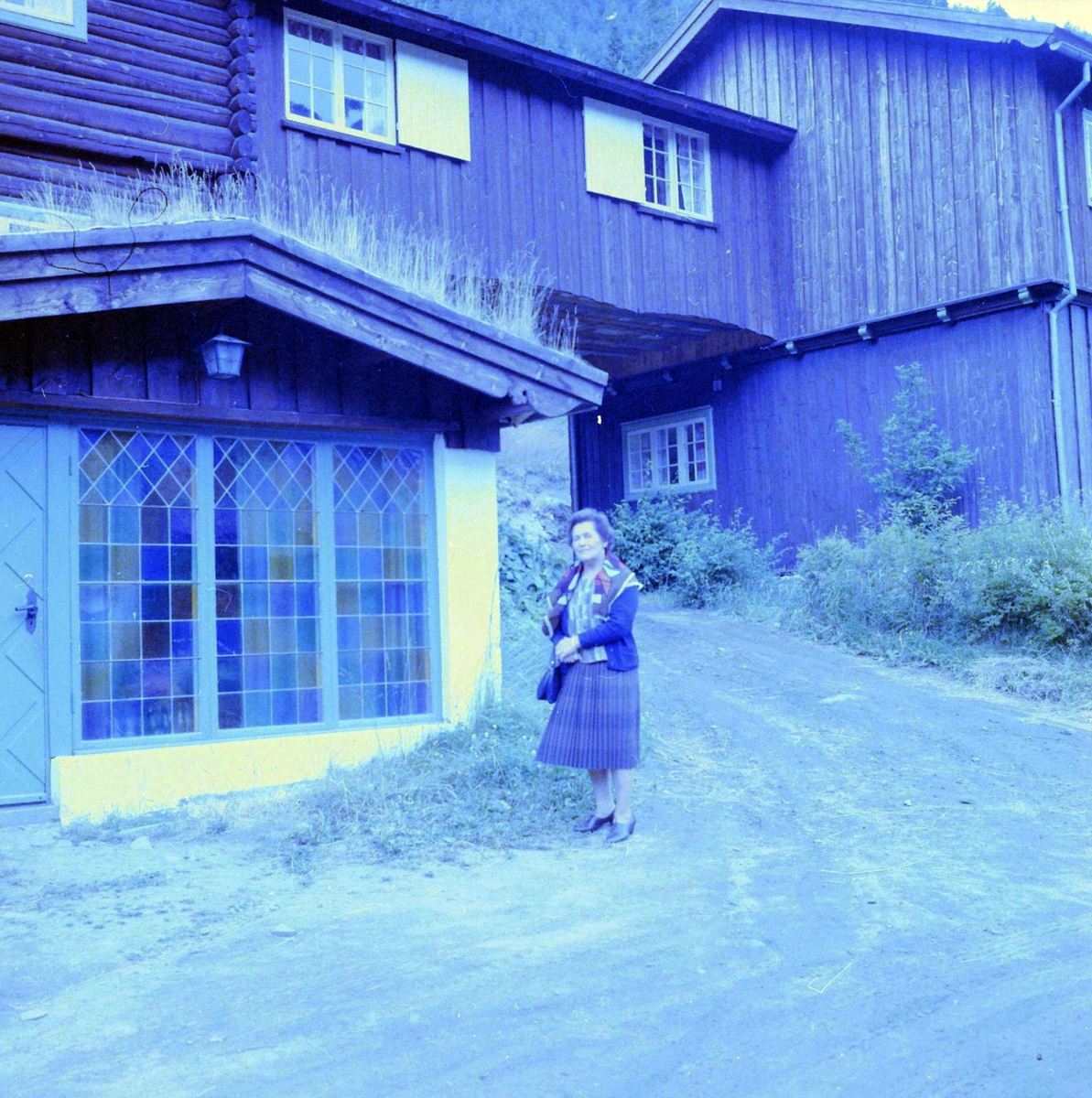 Adolf Skjegstad, ASK-04682