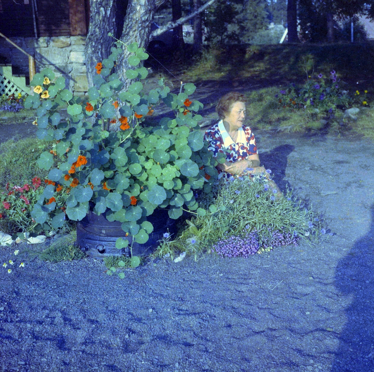 Adolf Skjegstad, ASK-04685
