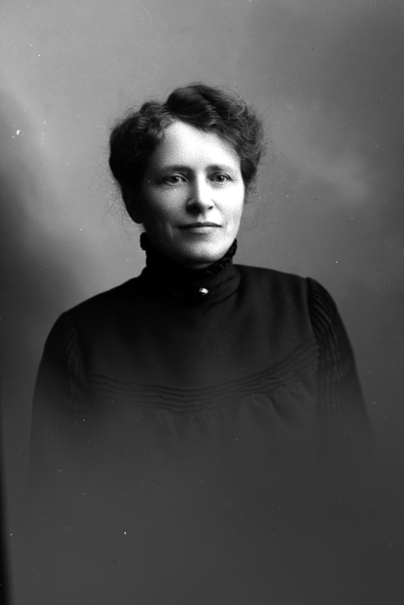 Christian Grundseth, HARBOE FRU DR. , HALVFIG. , Hedvig Harboe, f. 1867. 11415. Hedvig Harboe (1867-1955). Se Hamar Historielags årbok 2013. " Kvinnesak og samfunnsutvikling"