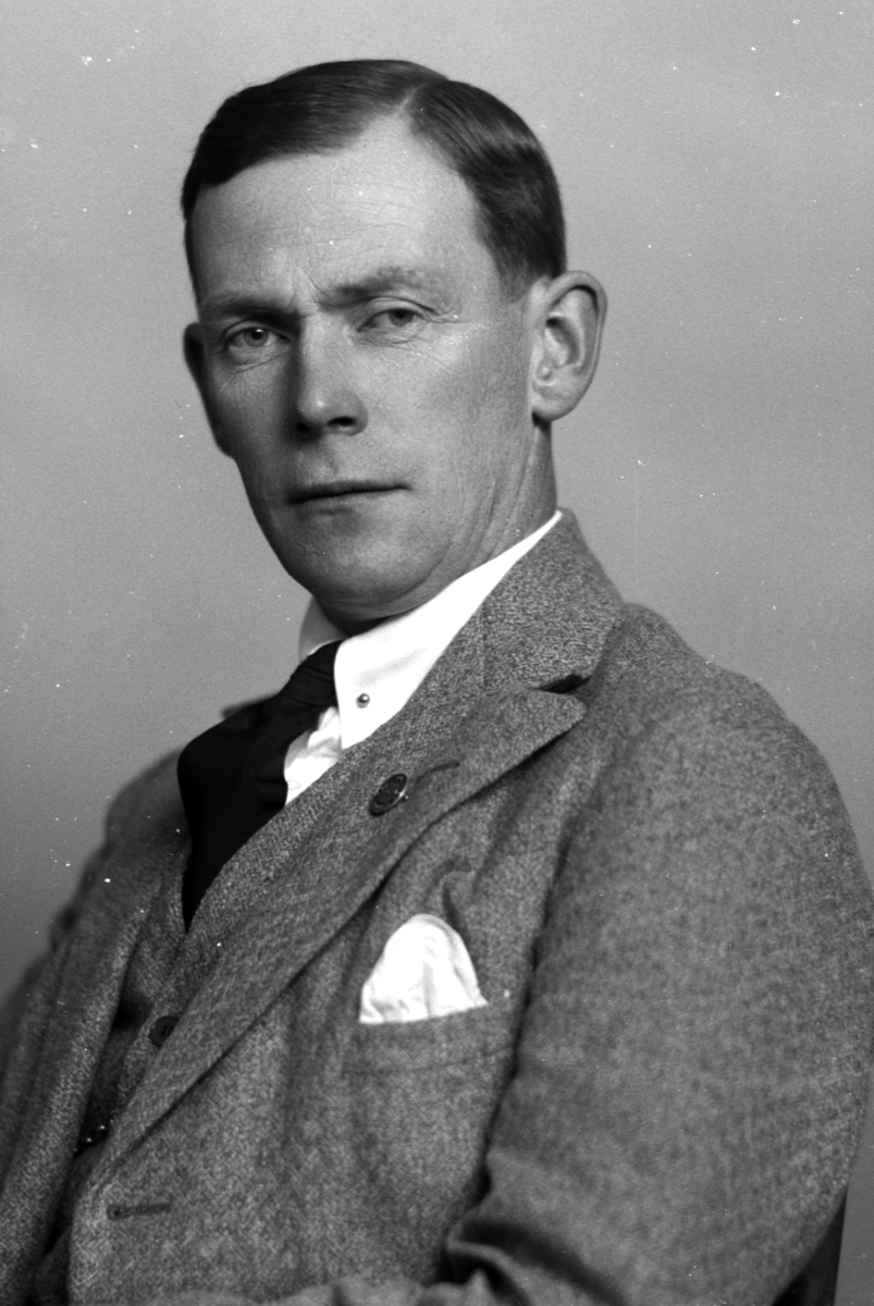 Christian Grundseth, STRØM SKOG. , HALVFIG. , 34965