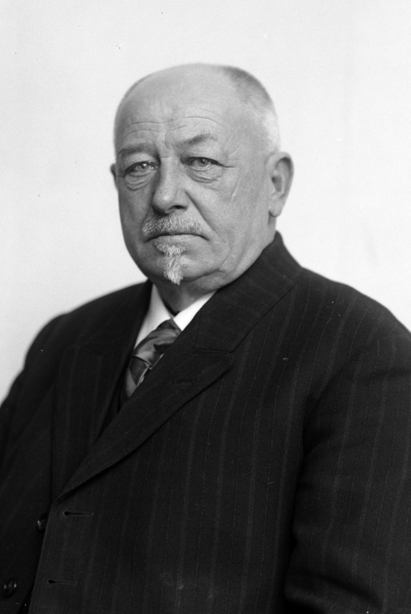 Christian Grundseth, WIIK OLE, KJØPMANN, ØSTRE TORG, HALVFIG. , 30903