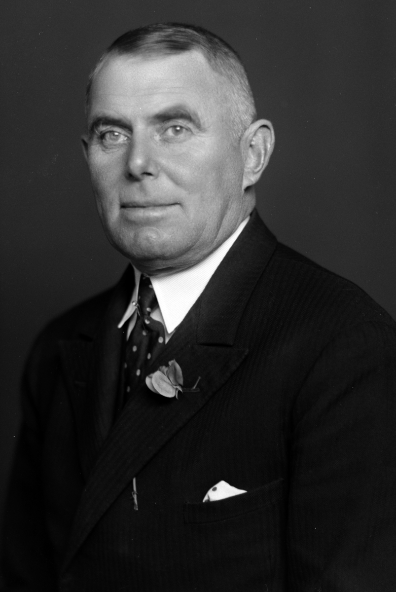 Christian Grundseth, KRISTOFFERSEN DRITSBEST. , HALVFIG. , 37176