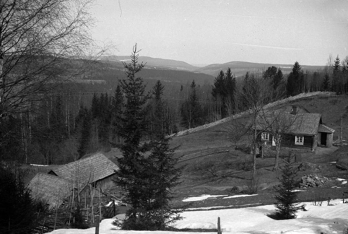 Toralv Bleken-Nilssen, HAUG, VESTERLIEN, Brøttum i Ringsaker, TUN.