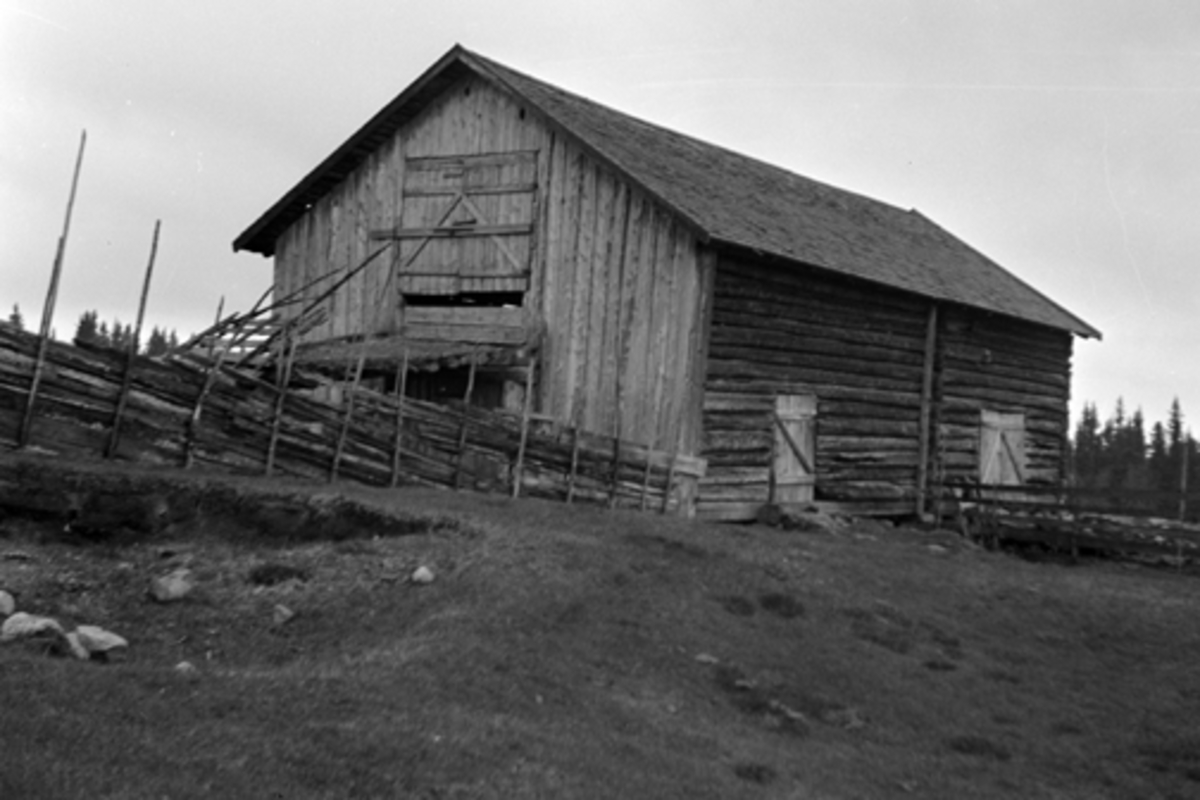 Toralv Bleken-Nilssen, BJØNNÅSEN, Bjørnåsen. HALSETSETRA. FURNES ALLM. Ringsaker. FJØS. LÅVE.