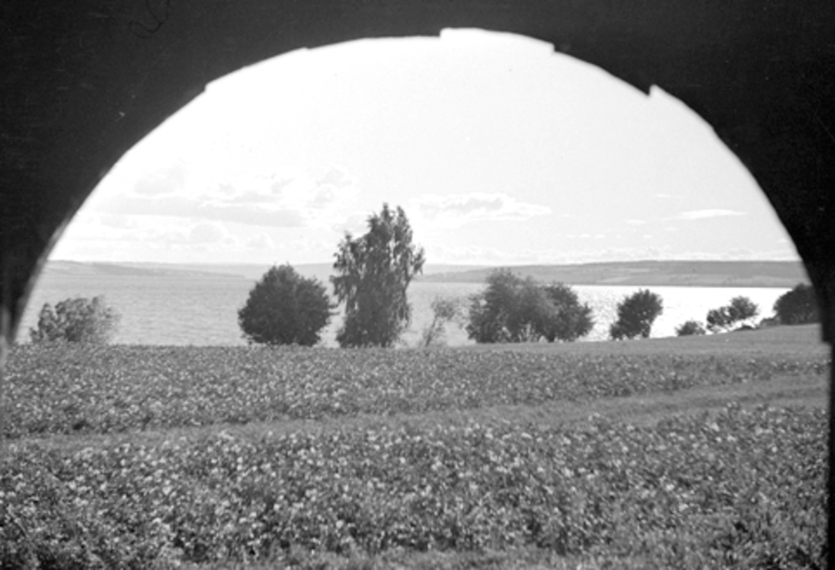 Toralv Bleken-Nilssen, GEITRYGGEN på Domkirkeodden. HDH. 102. SETT FRA GRIMSRUDSVALEN.