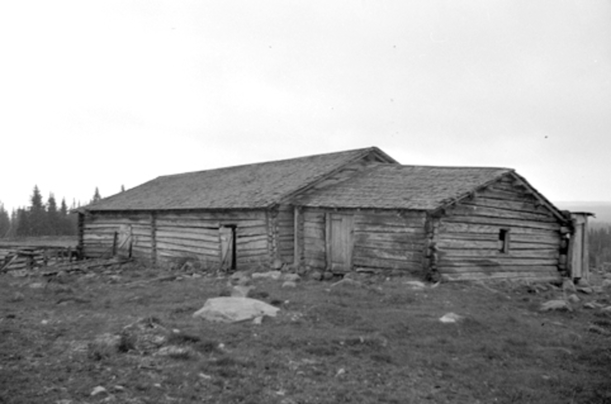 Toralv Bleken-Nilssen, BJØNNÅSEN. VESLE-ILESETRA. FJØS. HDH. 66.