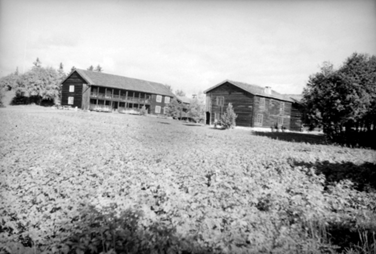 Toralv Bleken-Nilssen, HEDMARKSTUNET. HDH. 10. HUBREDBYGNINGEN. HDH. 15.